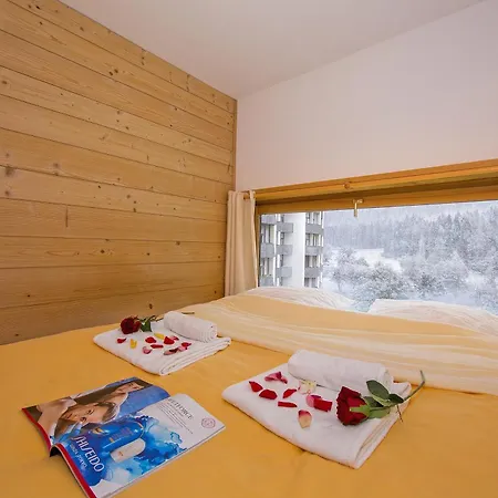 Apartman Grand Roc - Ancolies 220 - Happy Chamonix