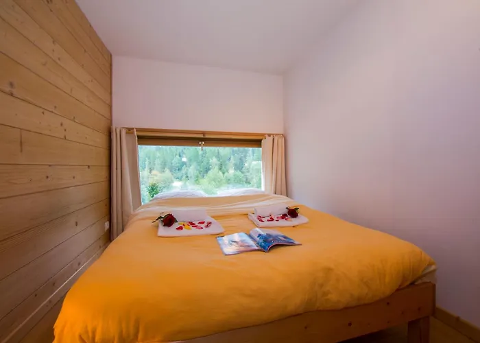 Résidence Grand Roc - Ancolies 220 - Happy Chamonix