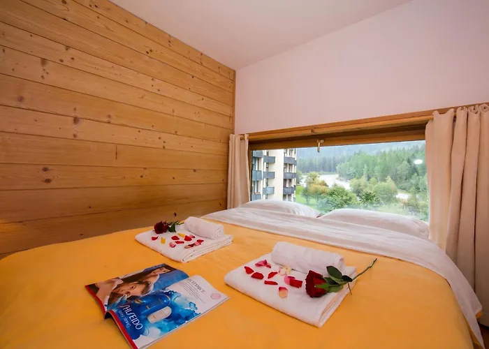 公寓 Grand Roc - Ancolies 220 - Happy *